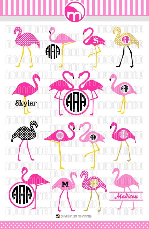 Download Flamingo SVG Cut Files Monogram Frames for Vinyl Cutters