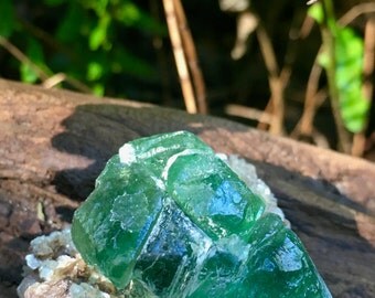 Namibian Fluorite Crystal with Muscovite 35 gm, Namibia, Muscovite, Mineral Specimens, Reiki, Healing Crystals, Altar Stones