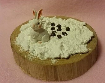 tiny bunny poop