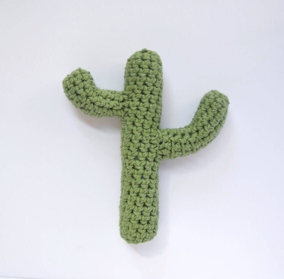 cactus rattle