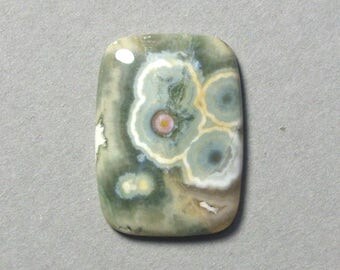 OCEAN JASPER cabochon rectangle 22X30mm designer cab
