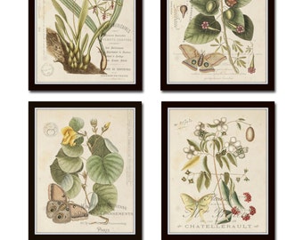 Vintage Butterfly and Botanical Print Set No.1, Giclee, Prints, Antique Botanical Prints, Wall Art, Prints, Vintage Butterfly Prints, Art