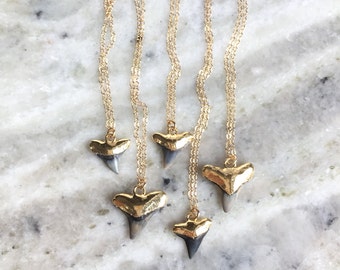 Mano niho kahi Black necklace - gold shark tooth necklace, black gold shark tooth, gold dipped shark tooth necklace, gold fossil shark tooth