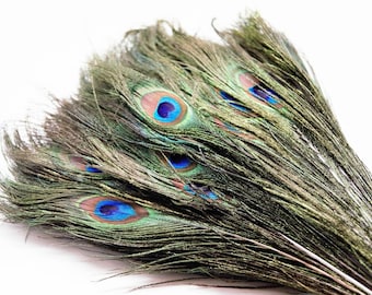 Lot of 10 natural peacock feathers, 20-30 cm