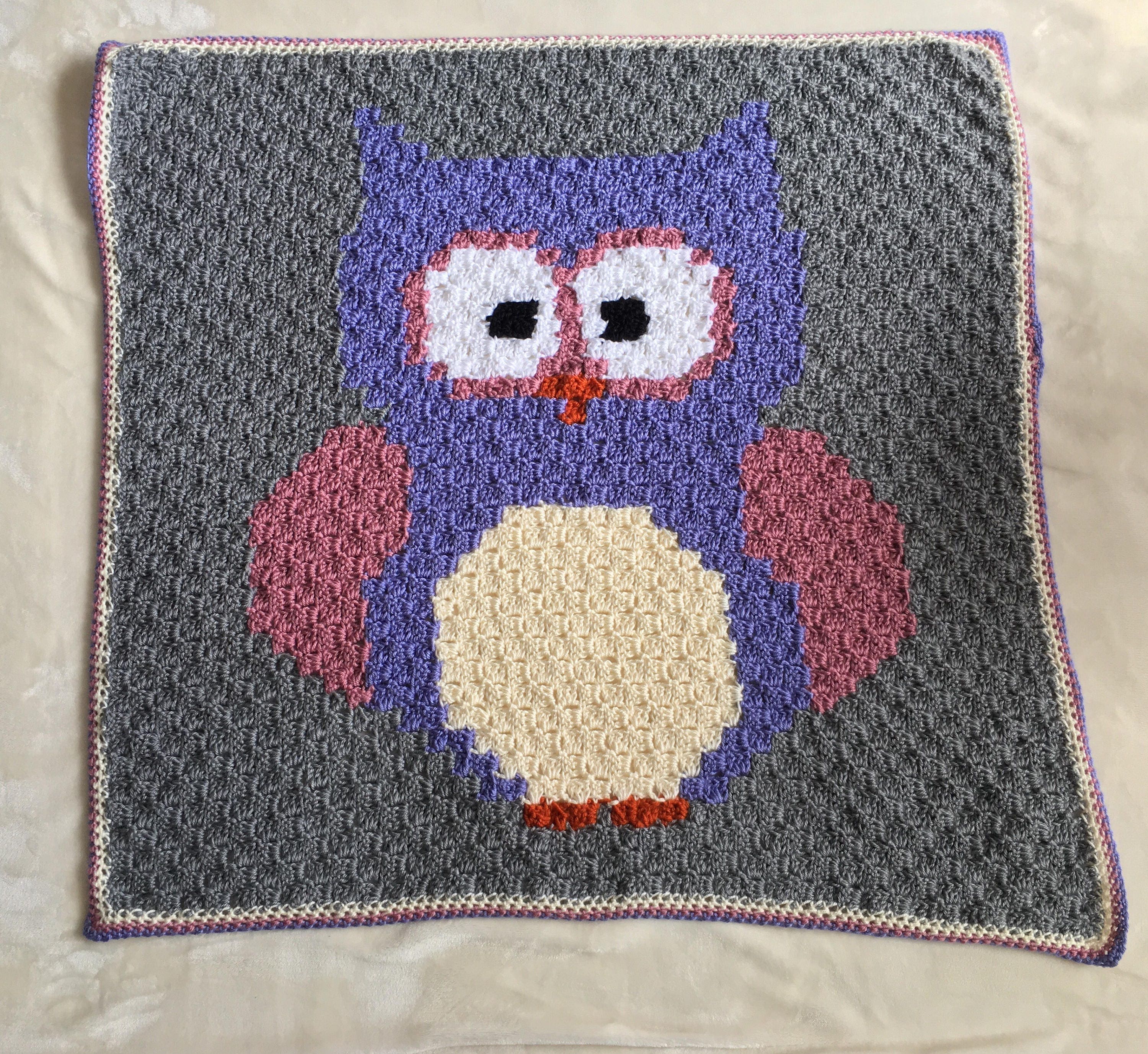 Blanket. Baby owl blaket-baby blanket-owl blanket-crib blanket