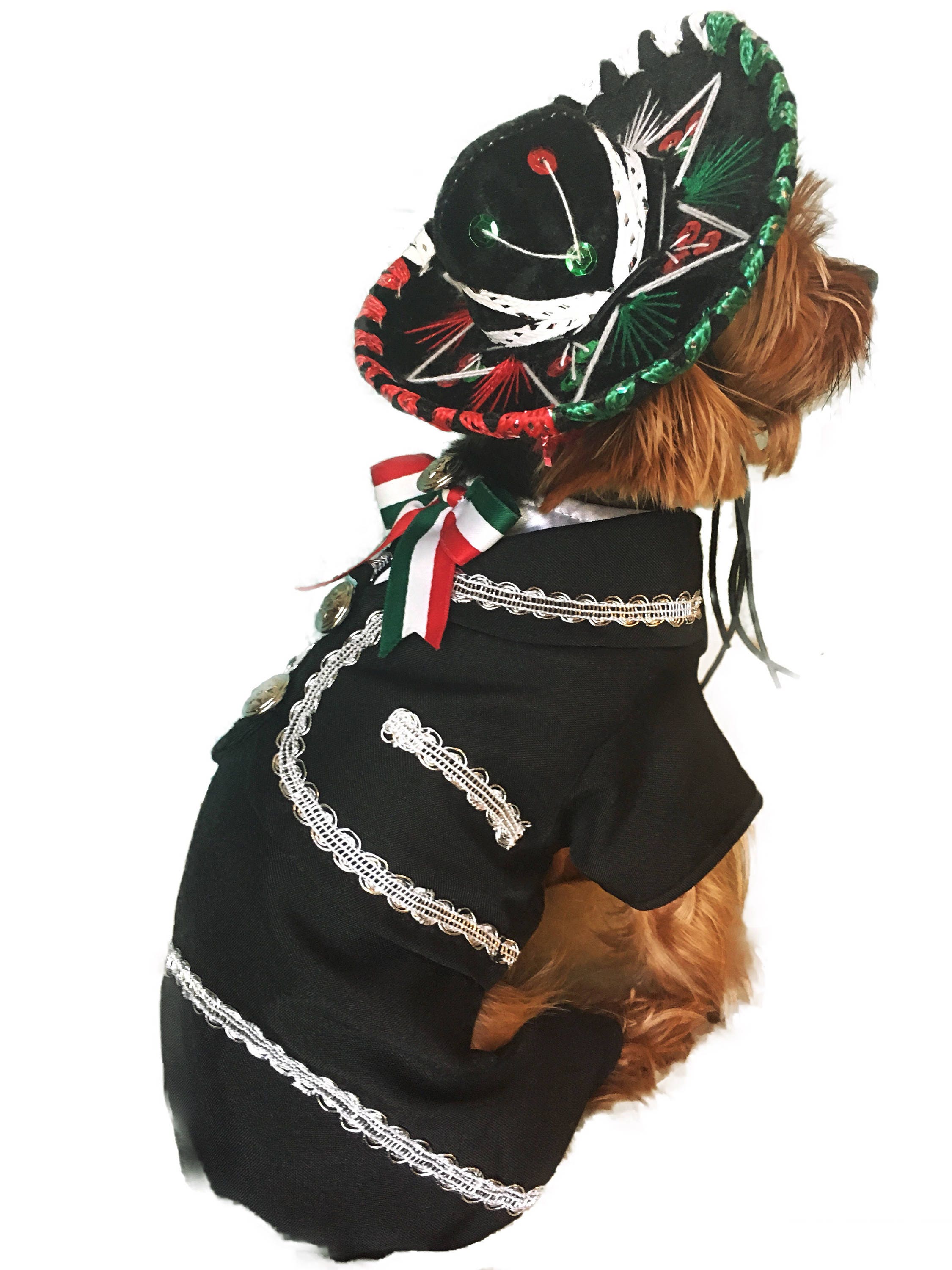 Mariachi Dog Costume/ Mariachi Outfit for dogs/ Mexican dog