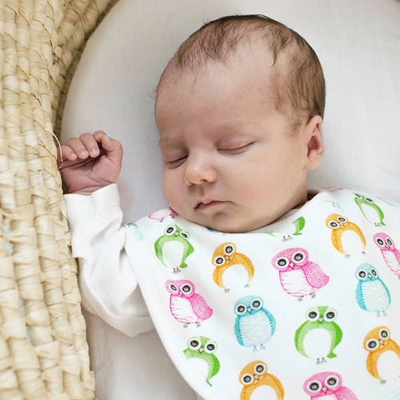 Baby dribble bib featuring Owls. Newborn baby gift baby boy