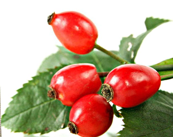 Rosehip seed oil - 100% organic and pure cold pressed unrefined