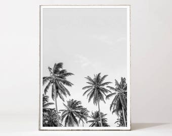 Palm print, palm tree print, black and white palm tree, palm tree photo, tropical art black and white, tropical print, palm tree photo