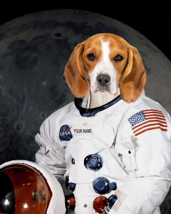 Items similar to Pet portrait as NASA astronaut, Fun dog portrait