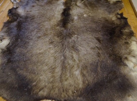 Moose Fur