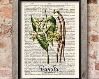 kitchen herb print vanilla print dictionary art print old book pages kitchen - Prints On Old Book Pages kitchen herb print vanilla print dictionary art print old book pages kitchen - Prints On Old Book Pages