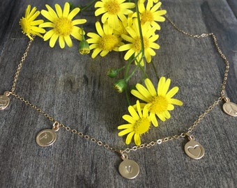 Why im vegan charm necklace