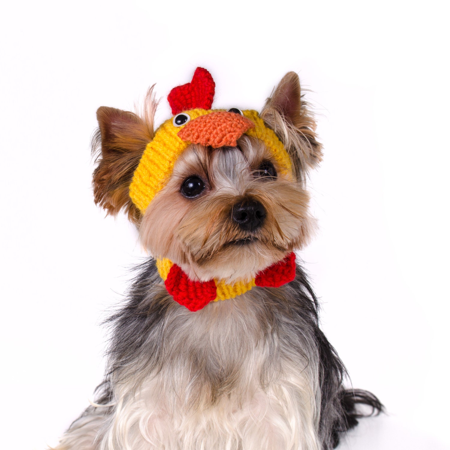 Knitted hat for dog Rooster Chicken hat for dog Crocheted