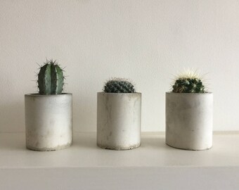Concrete Succulent / Cactus Planter / Handmade Plant Pot / Planter For Air Plants