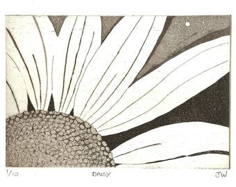 Daisy Original Etching