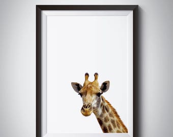 Giraffe wall art | Etsy