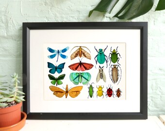 Butterfly print / Nature Collection / A3 art print / Beetle Illustration