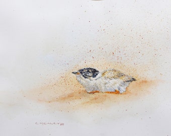 Hooded Plover Chick (in sand storm), original watercolour bird painting