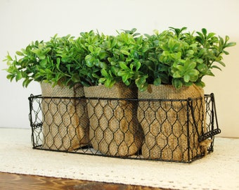 Boxwood display, Wire basket, Burlap bag, Farmhouse decor, boxwood arrangement, Housewarming, Kitchen decor, Boxwood decor, Boxwood plant