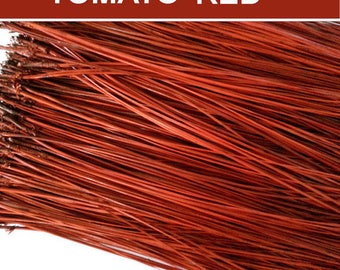Pine Needles for Gourd Art or Basket Coiling - Dyed Florida Long Leaf - TOMATO RED