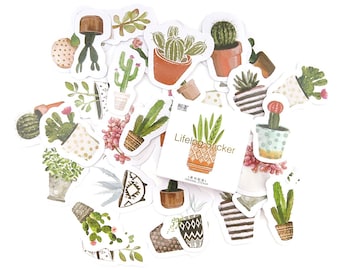 Cactus Stickers - Succulent Stickers - Cute Stickers - Sticker Pack - Paper Stickers - Decorative Stickers - Labels - Stickers Australia