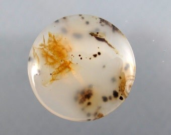 Montana Agate Designer Cabochon