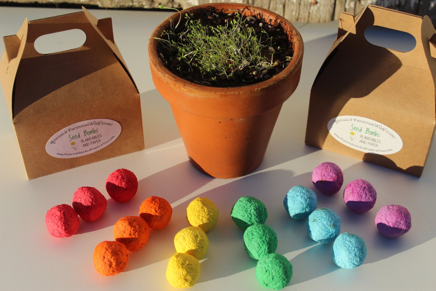 Wildflower seed bomb gift/favor small gable box packaging