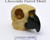 Chocolate Parrot skull
