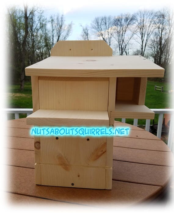 Squirrel Nesting Box