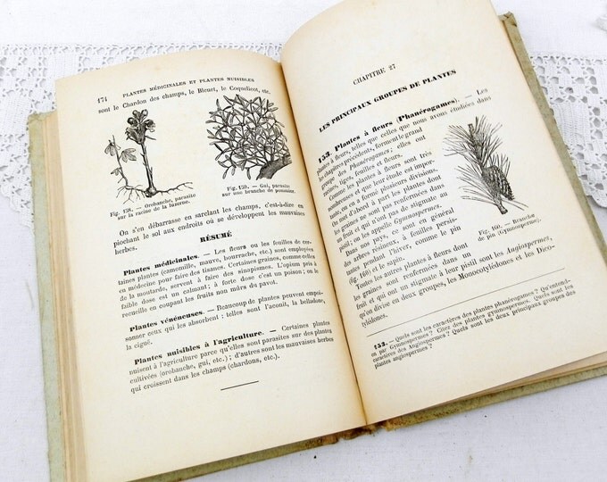 Antique French Natural Science Illustrated School Book 252 pages, French Decor, Vintage Decor, Shabby, Chic, Illustrations, Retro, Home