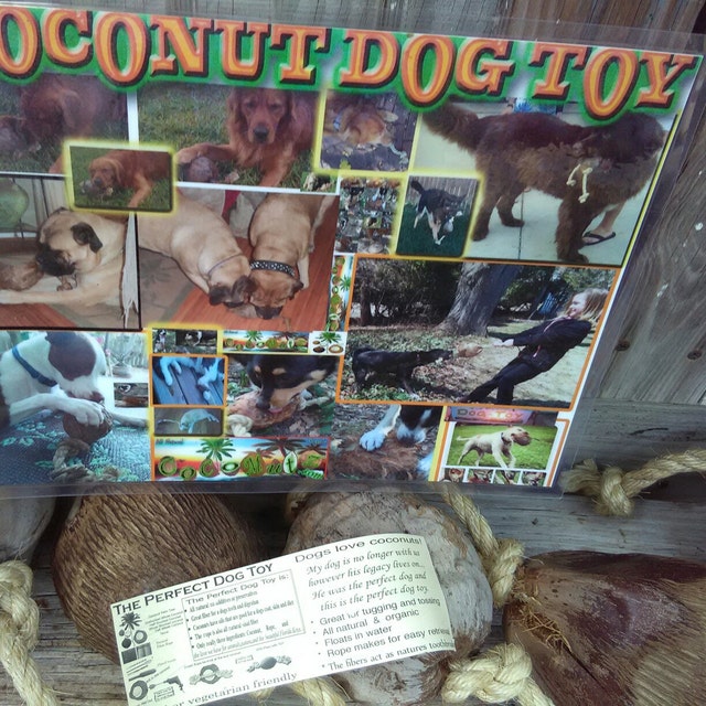 Coconut Dog Toy by on Etsy