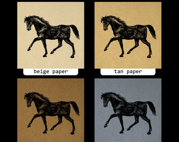 Digital Printable Black Horse Download Graphic Artwork Illustration Image Vintage Clip Art Jpg Png Eps HQ 300dpi No.2333