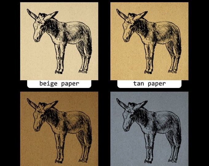 Printable Little Donkey Graphic Download Antique Horse Image Digital Jpg Png Eps HQ 300dpi No.737