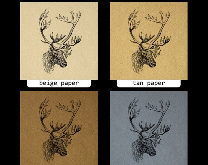 Printable Image Deer with Antlers Graphic Animal Digital Download Vintage Clip Art Jpg Png Eps HQ 300dpi No.497