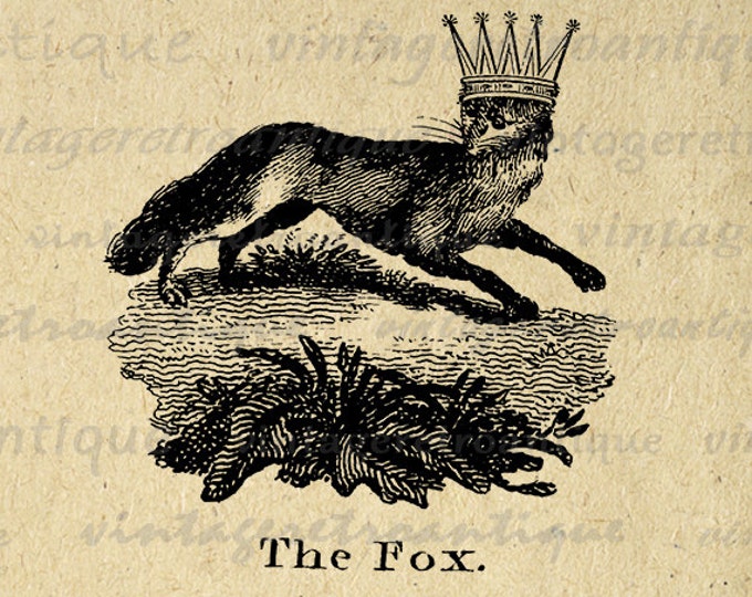 Fox with Crown Digital Image Download Antique Animal Artwork Printable Graphic T-Shirts Jpg Png Eps HQ 300dpi No.1068