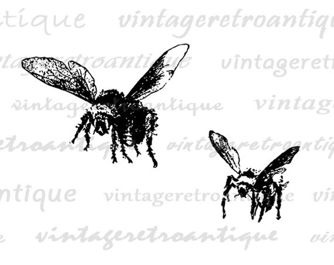 Bees Digital Image Download Collage Sheet Insect Bee Artwork Printable Graphic Jpg Png Eps HQ 300dpi No.3715