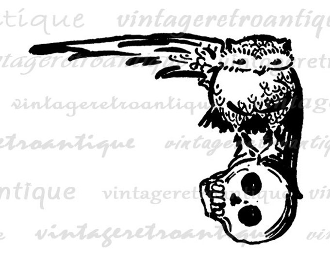 Digital Image Owl and Skull Download Printable Graphic Artwork Antique Clip Art Jpg Png Eps HQ 300dpi No.2899