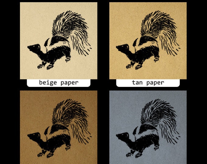 Skunk Image Printable Download Antique Graphic Digital Vintage Clip Art Jpg Png Eps HQ 300dpi No.068