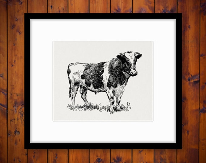 Holstein Cow Printable Digital Graphic Farm Animal Download Image Antique Clip Art Jpg Png Eps HQ 300dpi No.3510