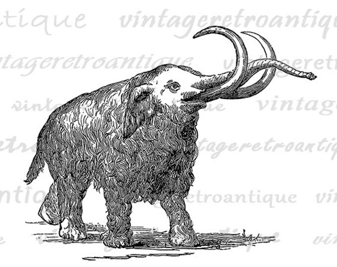 Woolly Mammoth Digital Graphic Printable Image Illustration Download Vintage Clip Art Jpg Png Eps HQ 300dpi No.2854