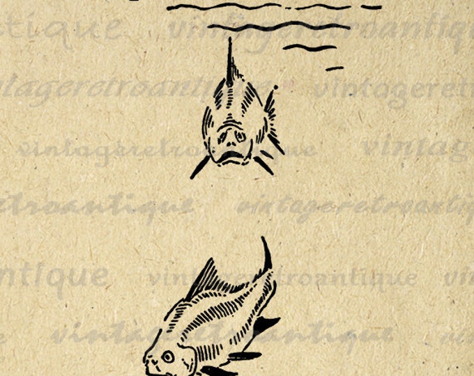 Digital Printable Fish Graphic Antique Artwork Download Image Vintage Clip Art for Transfers Making Prints etc HQ 300dpi No.845