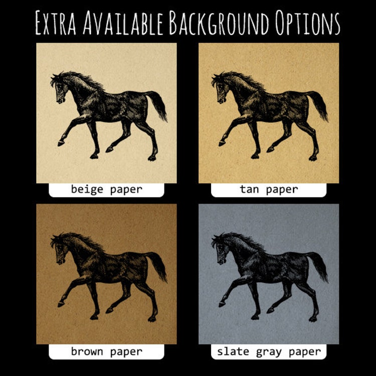 Digital Printable Black Horse Download by VintageRetroAntique