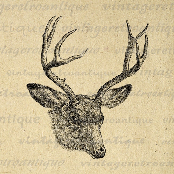 Digital Deer Printable Download Antlers by VintageRetroAntique