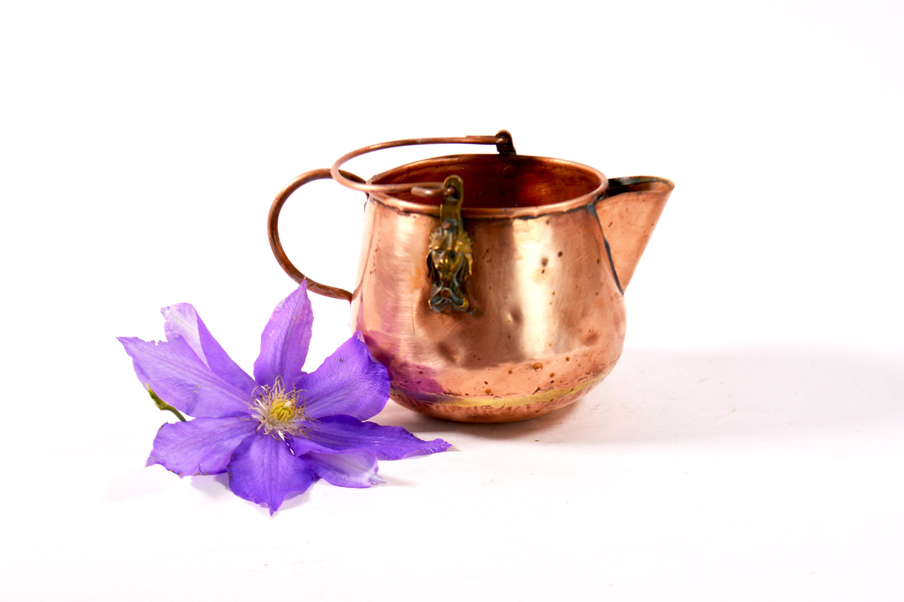 Small Copper Bucket Copper Watering Can Copper and Brass