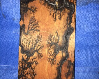 Lichtenberg Fractal Wood Burning Art - L2