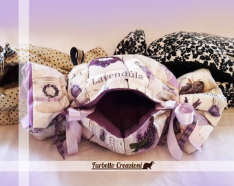 Doghouse for Ferrets-Candy