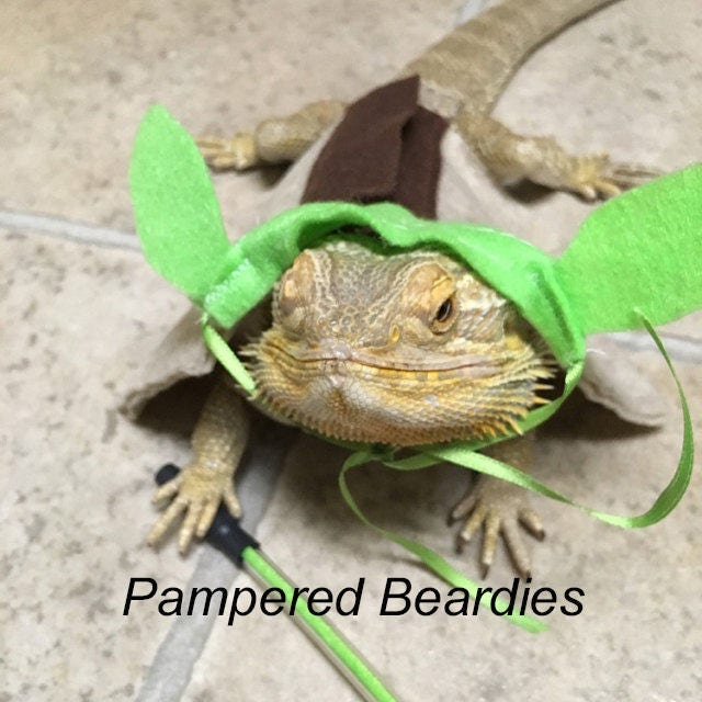 Yoda Costume for Bearded Dragon with Plastic Lightsaber Now