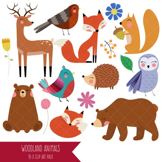 Woodland Animals / Forest Clipart / Fox / Bear / Deer / Owl