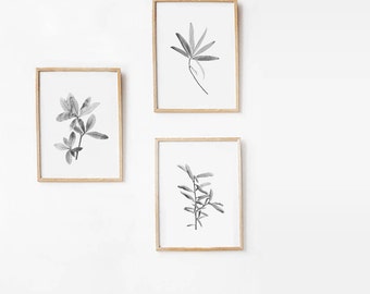 Botanical Print Set, Minimalist Nature Print Art, Printable Art Print Set 8x10 Minimalist Art, Black And White Photography DIGITAL DOWNLOAD